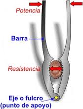 El cascanueces es un ejemplo de palanca de segundo grado, al igual que la carretilla de primera imagen